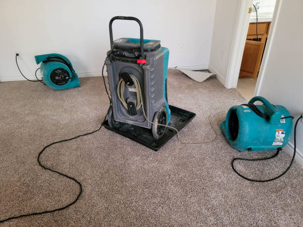 Best Water damage restoration near me  in Ben Bolt, TX