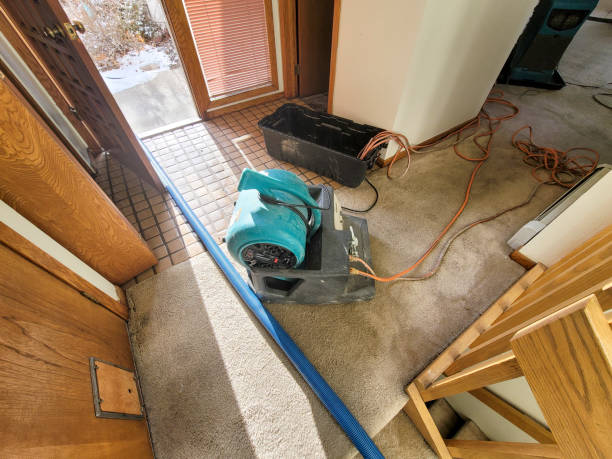 Best Residential water damage restoration  in Ben Bolt, TX
