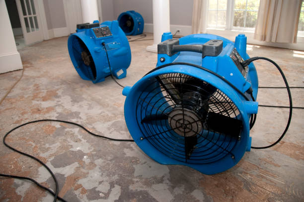 Best Water damage restoration near me  in Ben Bolt, TX