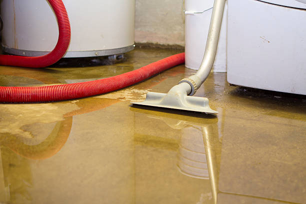 Best Water damage restoration cost  in Ben Bolt, TX