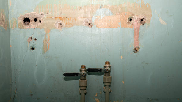 Best Emergency water damage restoration  in Ben Bolt, TX
