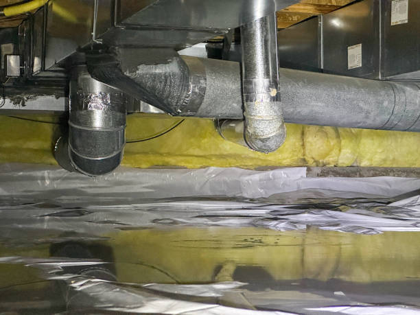 Best 24-hour water damage restoration  in Ben Bolt, TX