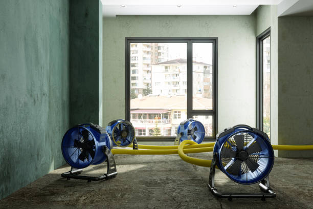Best Emergency water damage restoration  in Ben Bolt, TX